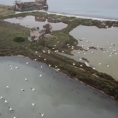 309 Le Saline - ファームステイ *