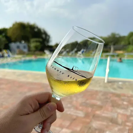 ファームステイ 309 Le Saline - *